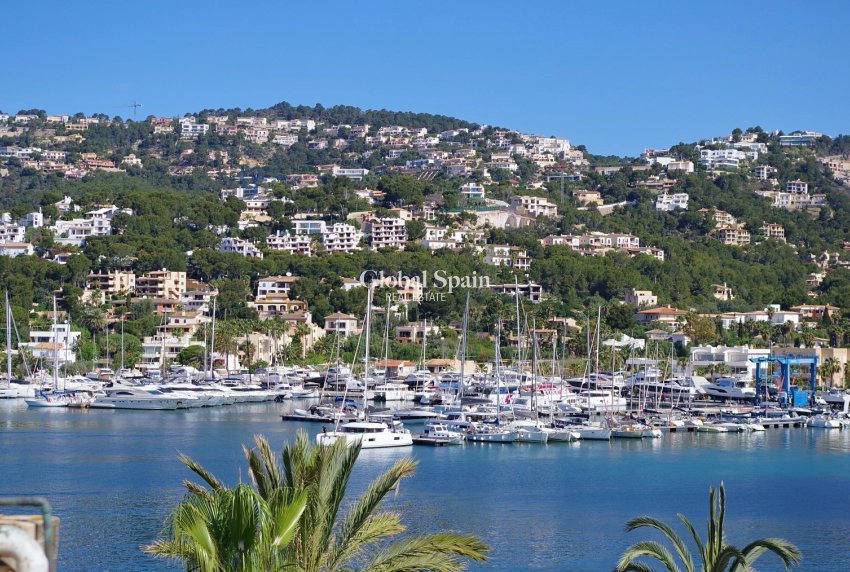 Revente - Appartement -
Port d'Andratx - Andratx