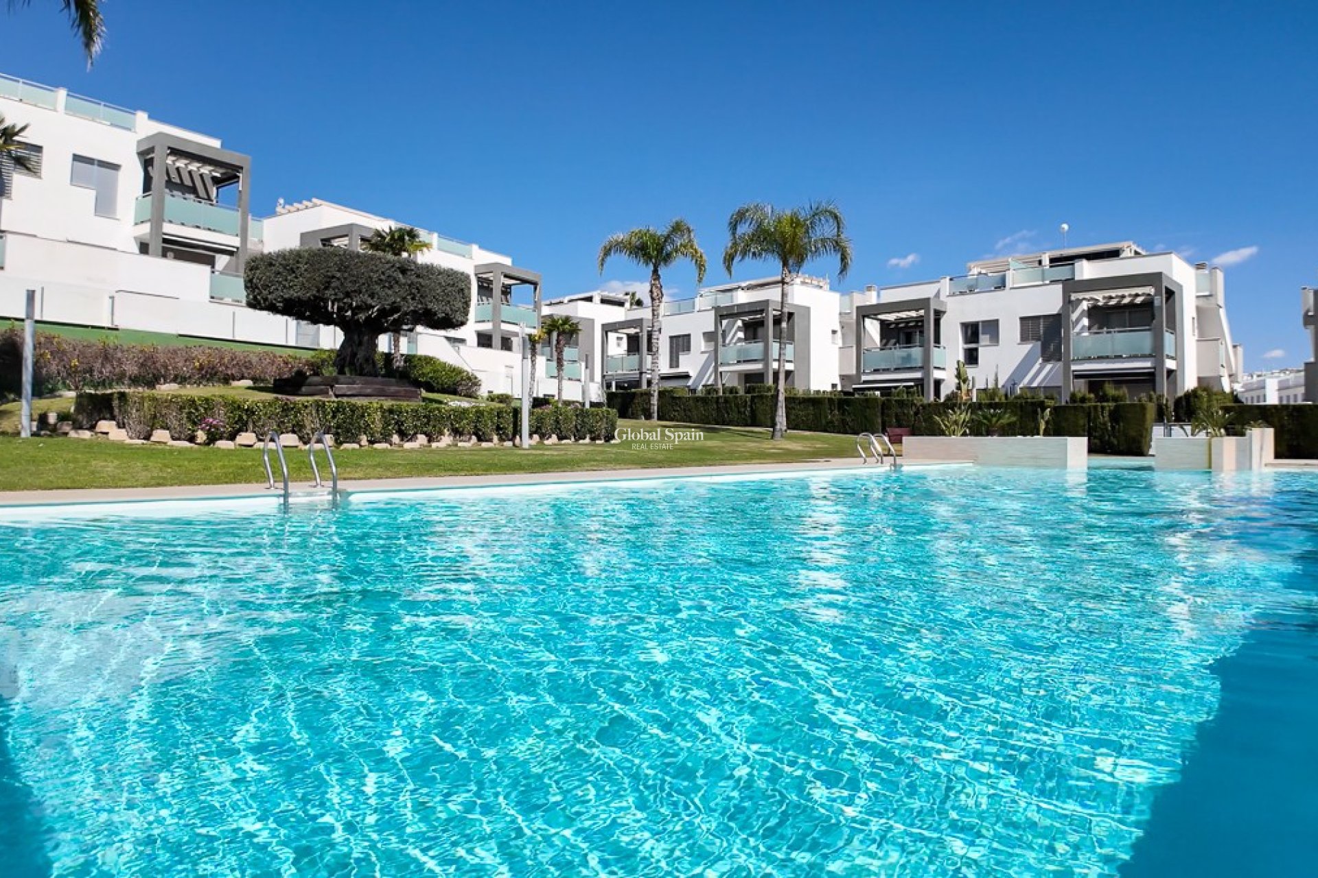 Revente - Appartement -
PUNTA PRIMA