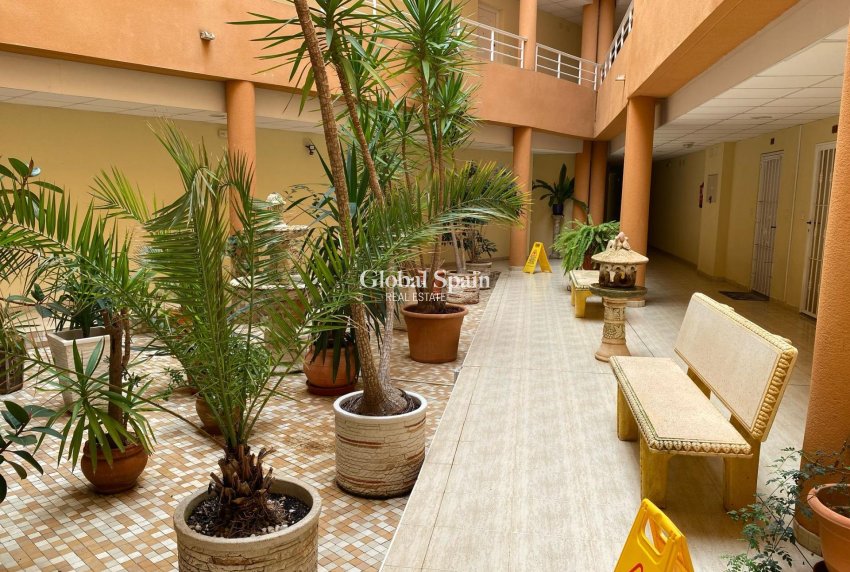 Revente - APPARTEMENT -
SAN MIGUEL DE SALINAS - Pueblo 9