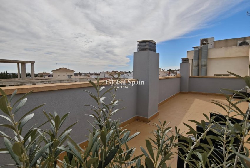 Revente - APPARTEMENT -
SAN MIGUEL DE SALINAS - San Miguel de Salinas