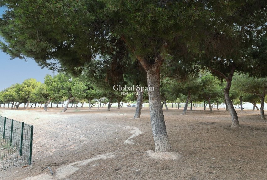 Revente - APPARTEMENT -
SAN PEDRO DEL PINATAR - Costa Calida