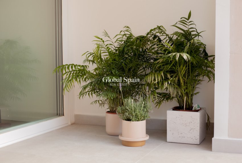 Revente - Appartement -
Son Espanyolet - optional location detail