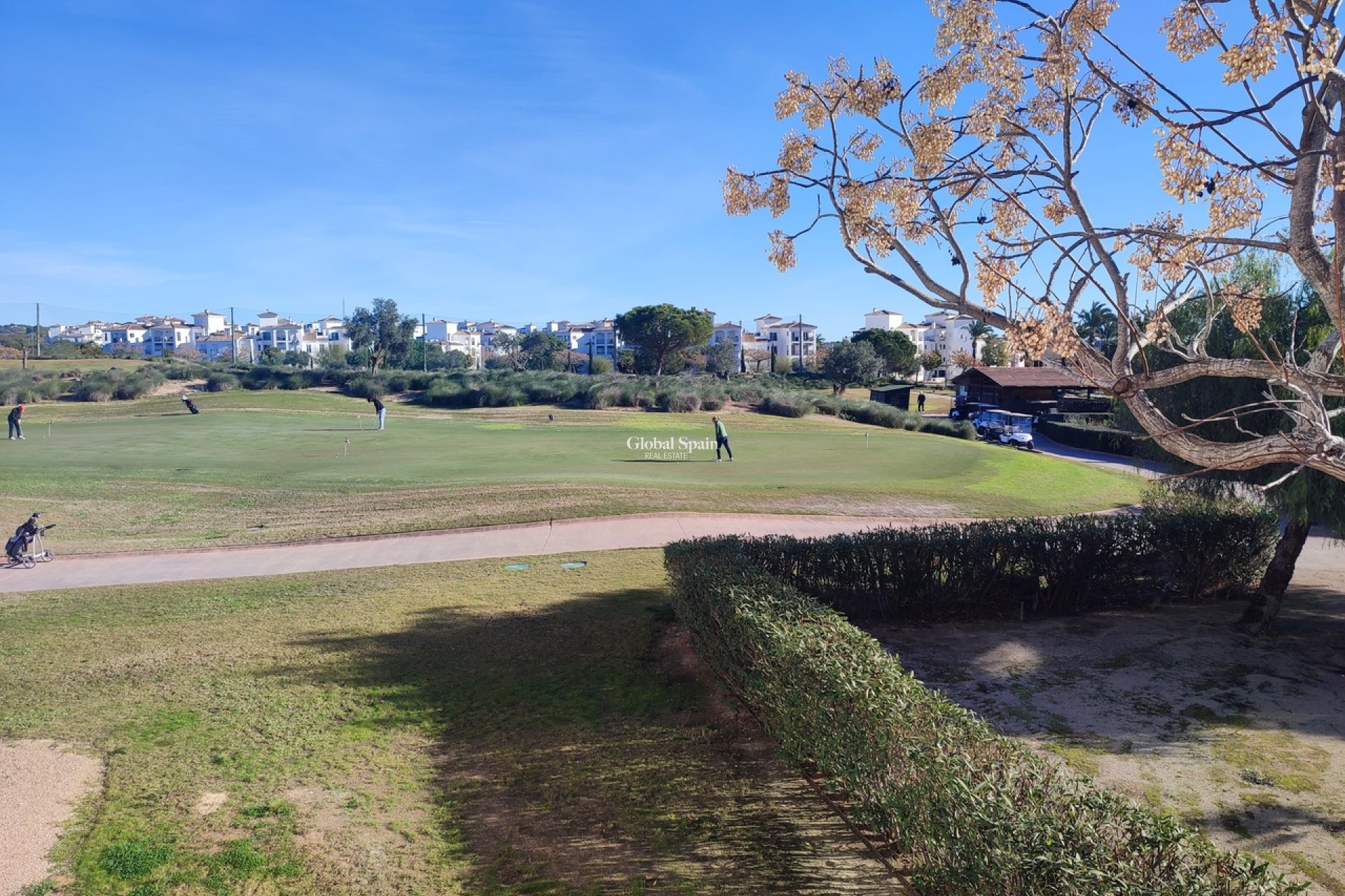 Revente - APPARTEMENT -
SUCINA - Inland