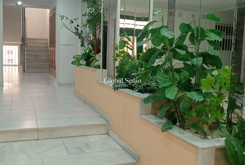 Revente - APPARTEMENT -
TORREVIEJA - Acequion