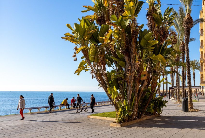 Revente - APPARTEMENT -
TORREVIEJA - Antonio Machado