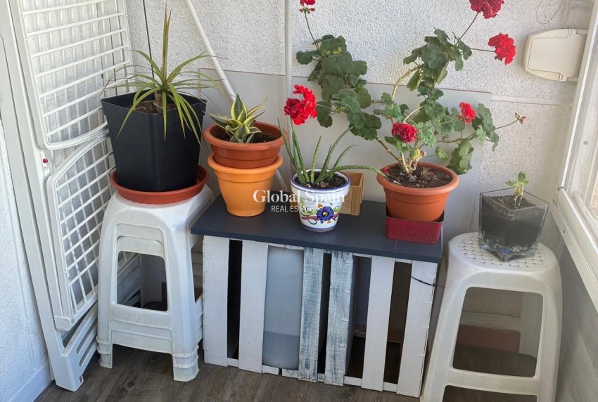 Revente - APPARTEMENT -
TORREVIEJA - Center