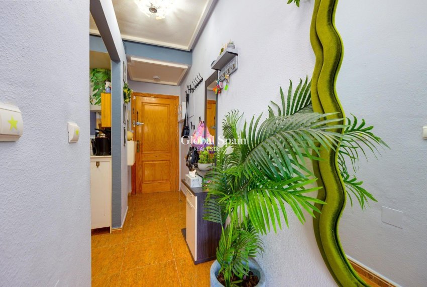 Revente - APPARTEMENT -
TORREVIEJA - Center