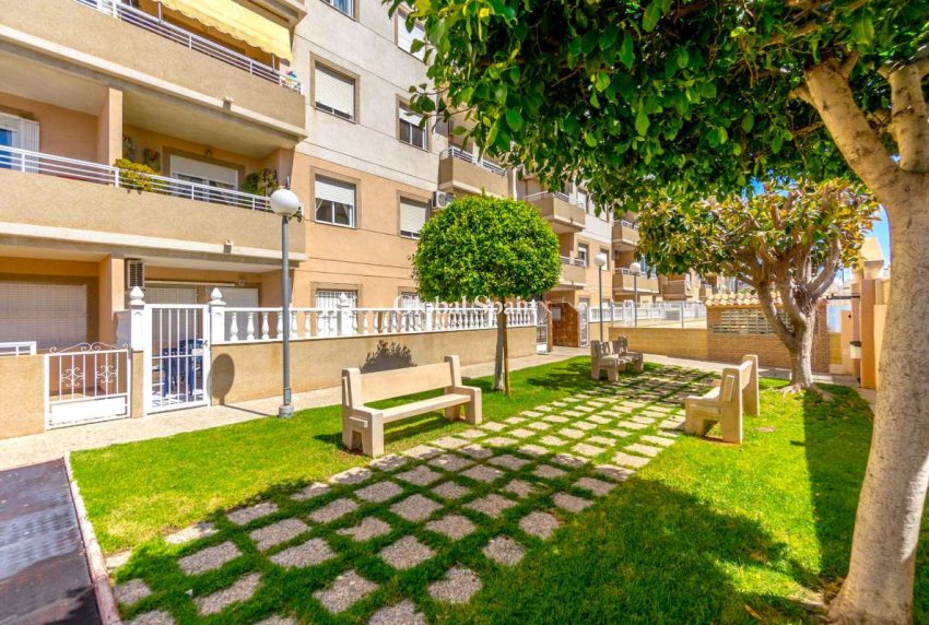 Revente - APPARTEMENT -
TORREVIEJA - Costa Blanca