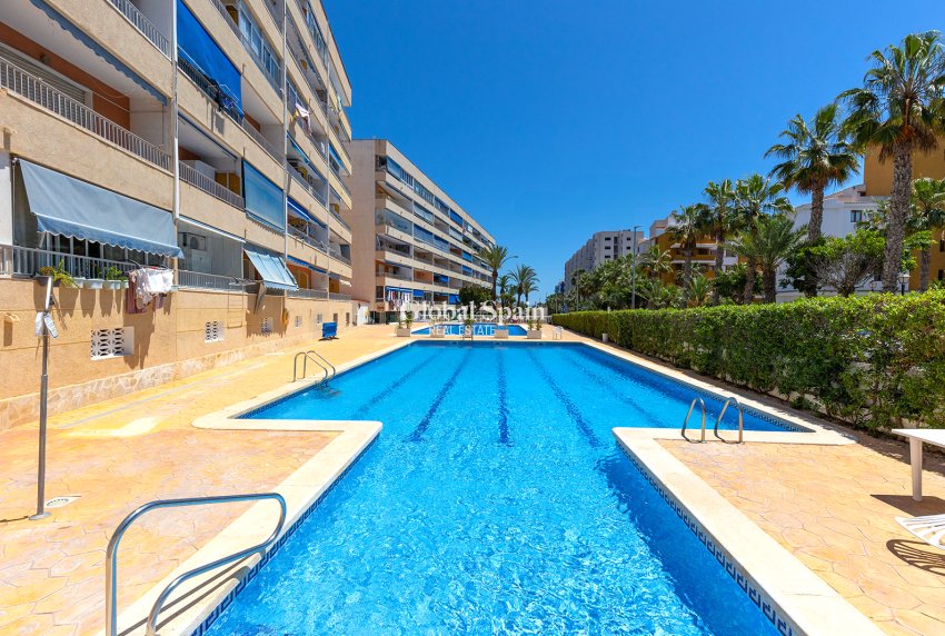 Revente - APPARTEMENT -
TORREVIEJA - Costa Blanca