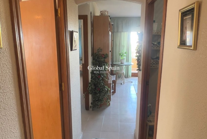 Revente - APPARTEMENT -
TORREVIEJA - Costa Blanca