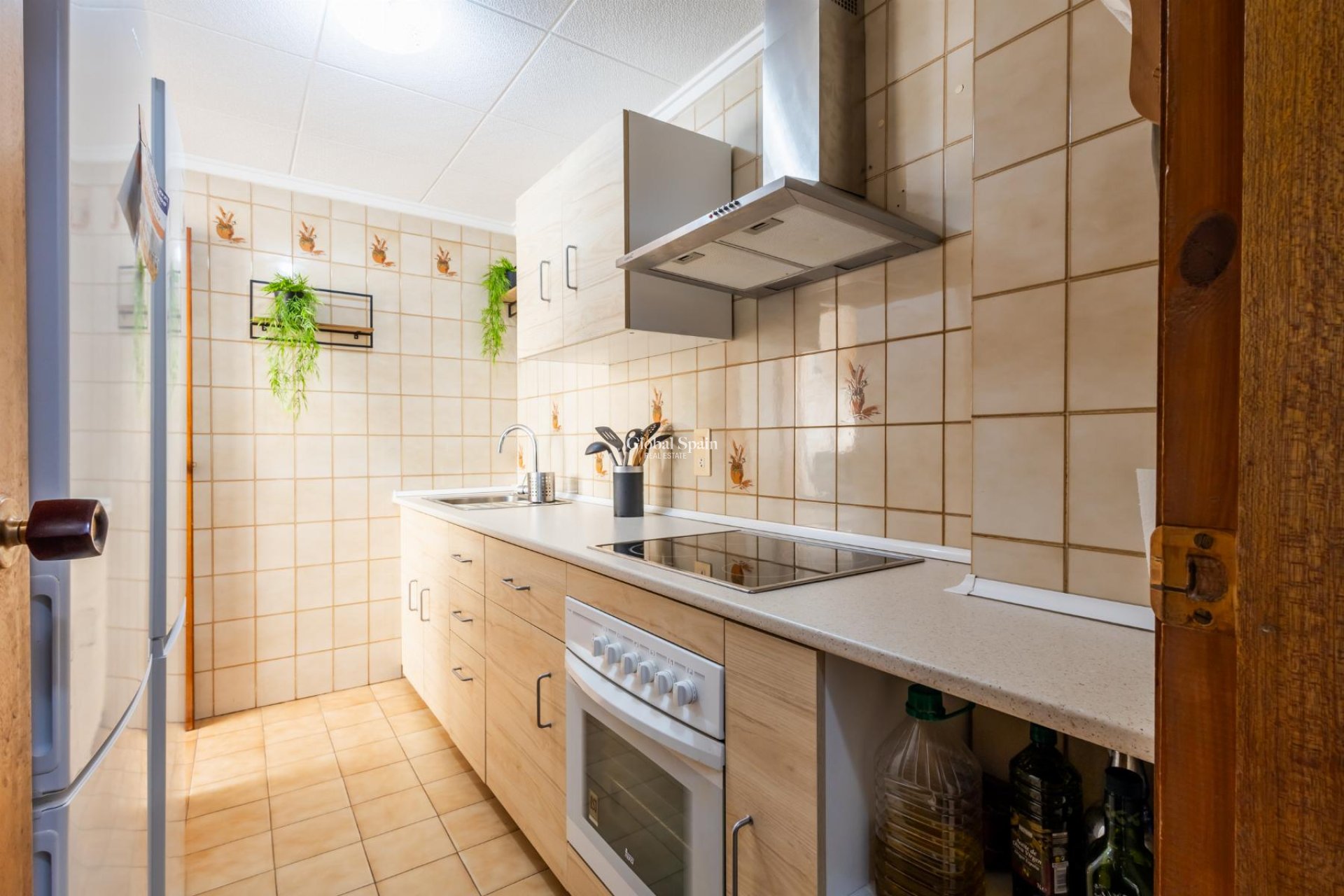 Revente - APPARTEMENT -
TORREVIEJA - Costa Blanca
