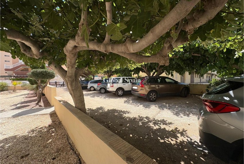 Revente - APPARTEMENT -
TORREVIEJA - Costa Blanca