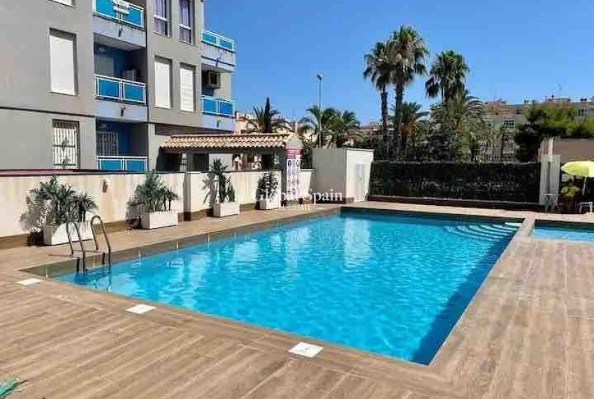 Revente - APPARTEMENT -
TORREVIEJA - Estacion de autobuses