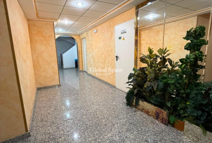 Revente - APPARTEMENT -
TORREVIEJA - Estacion de autobuses