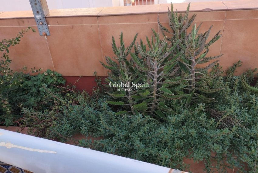 Revente - APPARTEMENT -
TORREVIEJA - La Mata