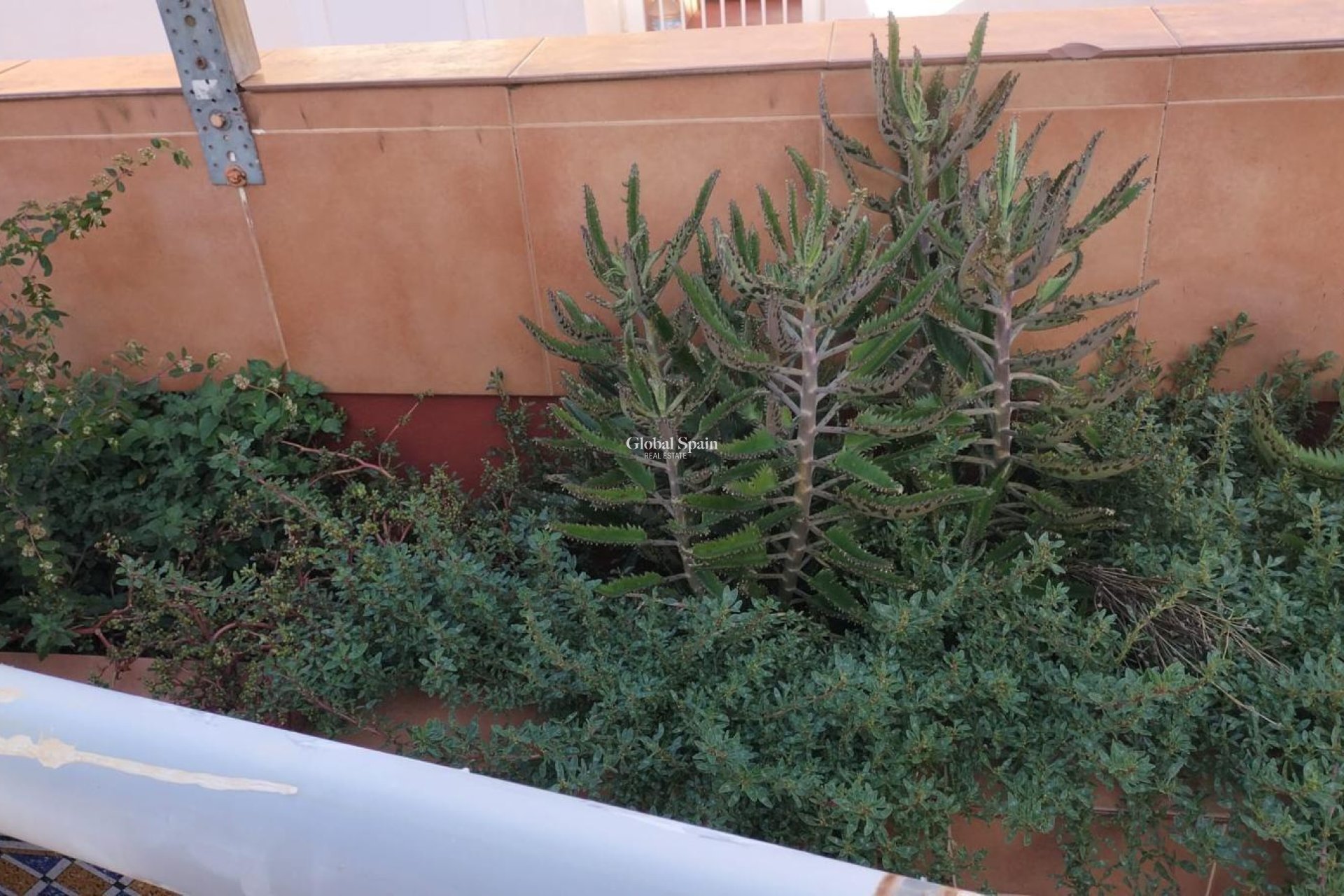 Revente - APPARTEMENT -
TORREVIEJA - La Mata
