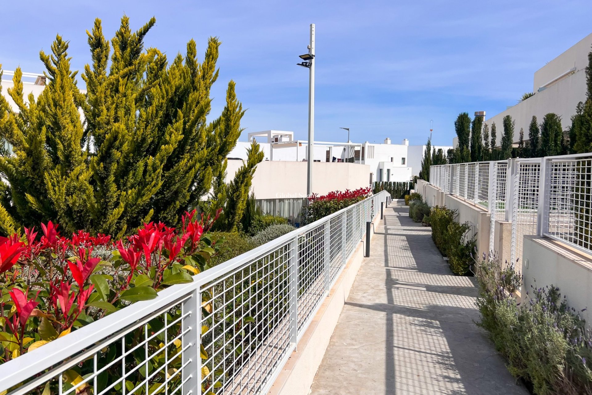 Revente - APPARTEMENT -
TORREVIEJA - LOS BALCONES - LOS ALTOS