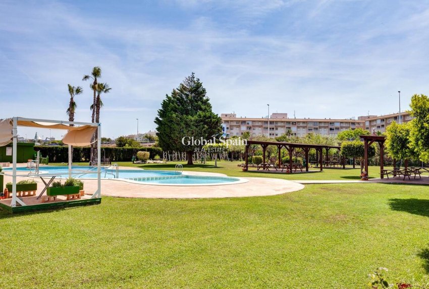 Revente - APPARTEMENT -
TORREVIEJA - Parque de las Naciones