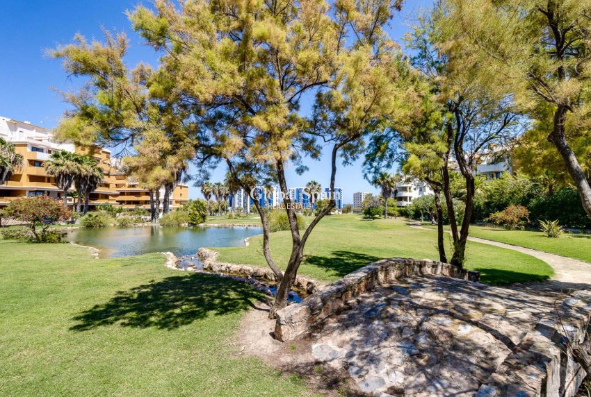 Revente - APPARTEMENT -
TORREVIEJA - Punta Prima