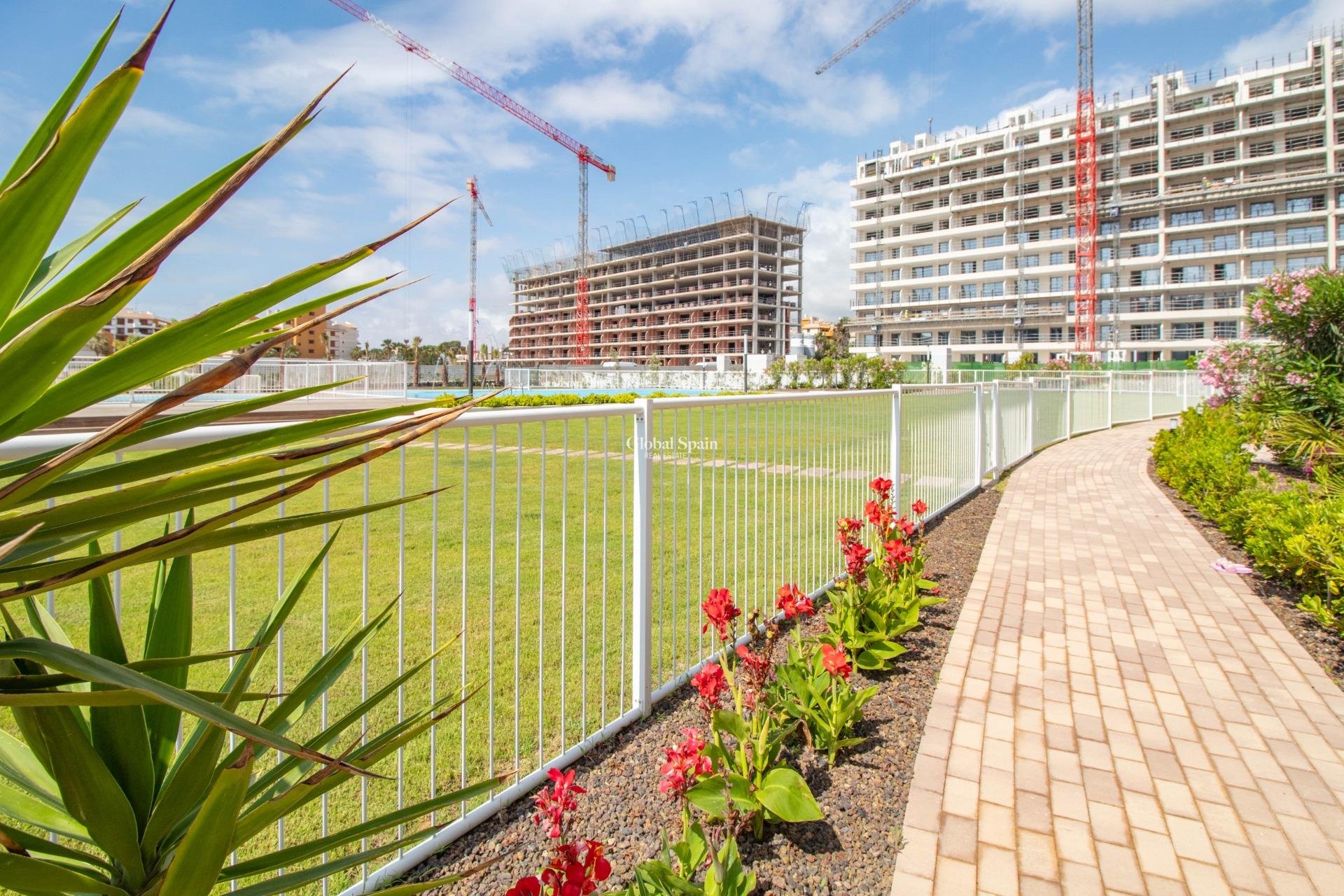 Revente - APPARTEMENT -
TORREVIEJA - Punta prima