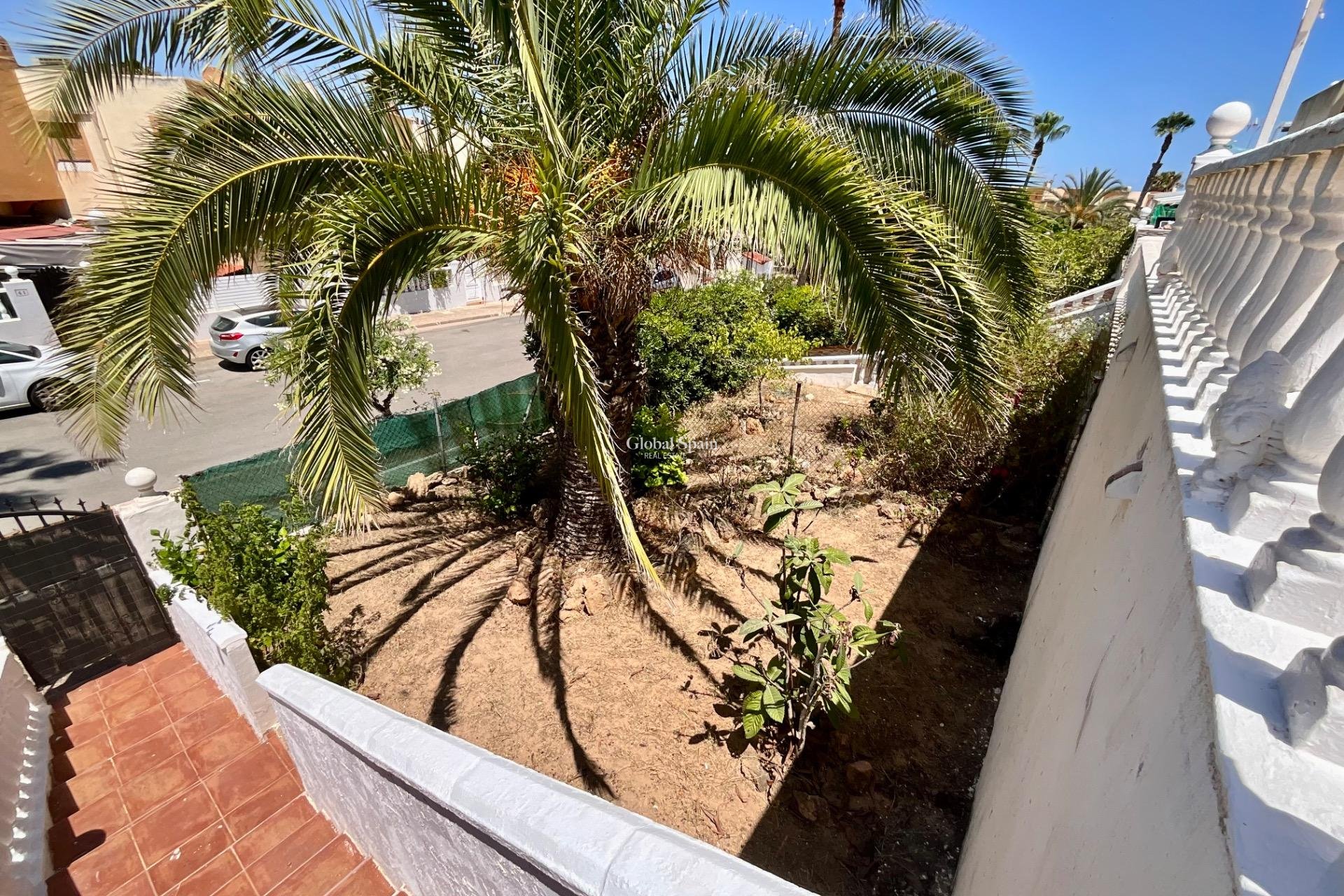 Revente - APPARTEMENT -
TORREVIEJA - Torreblanca