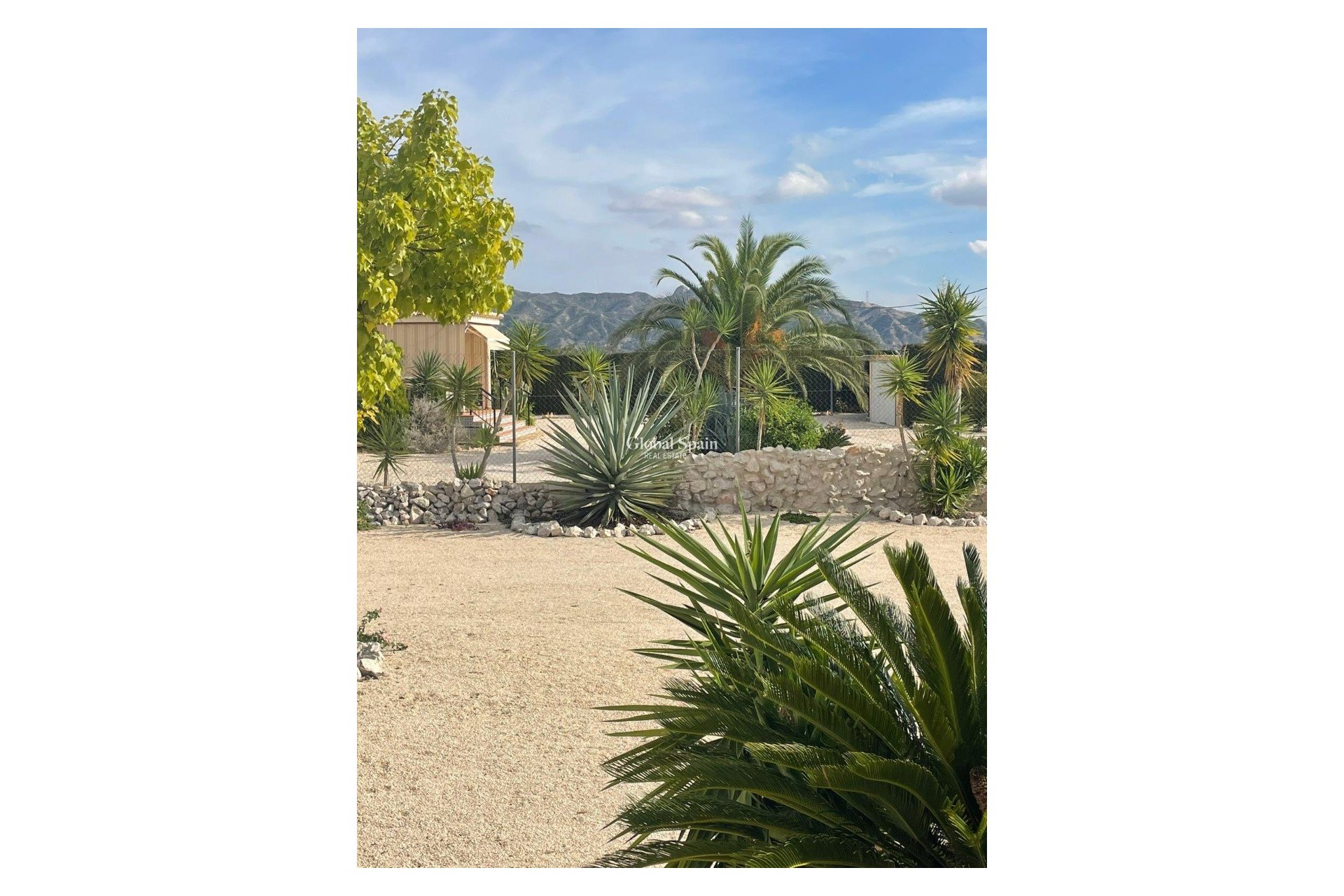 Revente - Finca / Propriété de campagne -
Abanilla