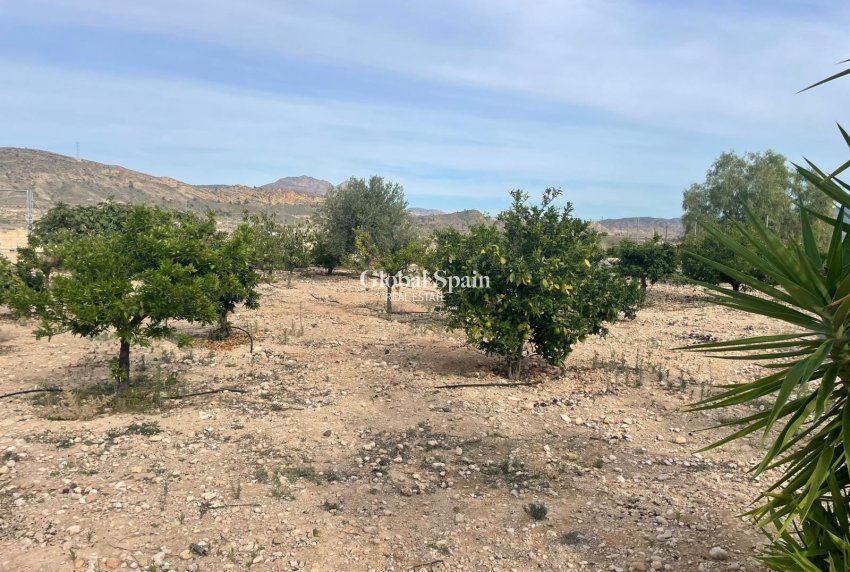 Revente - Finca / Propriété de campagne -
Abanilla