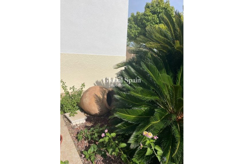 Revente - Finca / Propriété de campagne -
Abanilla