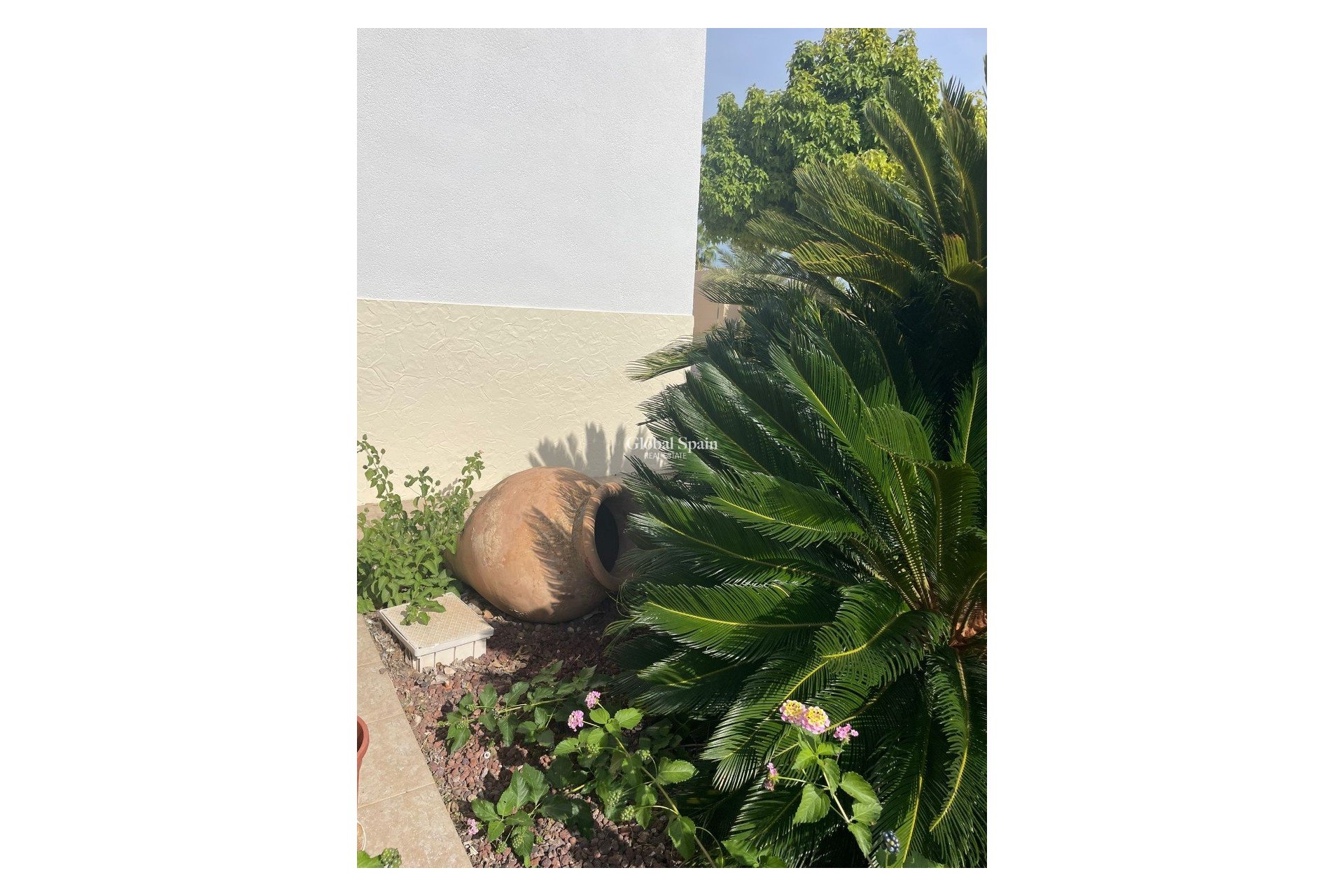 Revente - Finca / Propriété de campagne -
Abanilla