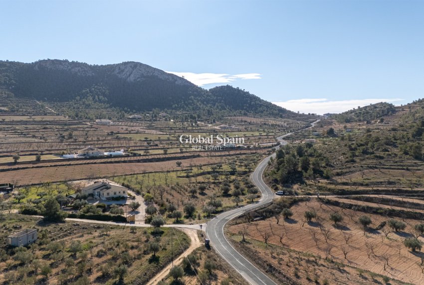 Revente - Finca - Propriété rurale -
LA ZARZA - La Zarza