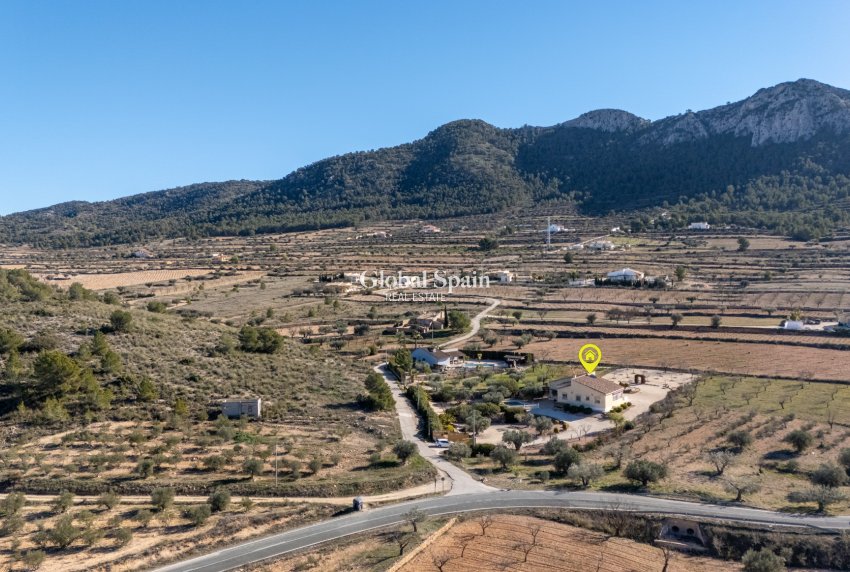 Revente - Finca - Propriété rurale -
LA ZARZA - La Zarza