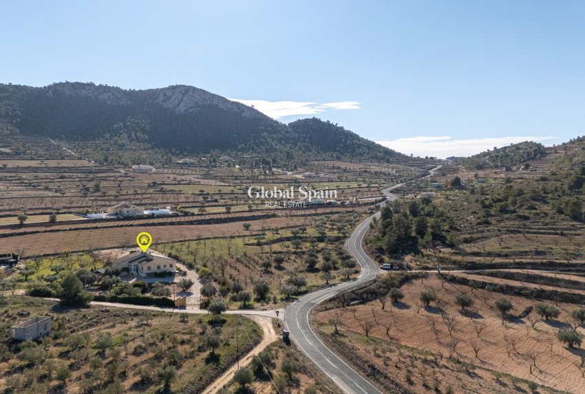 Revente - Finca - Propriété rurale -
LA ZARZA - La Zarza