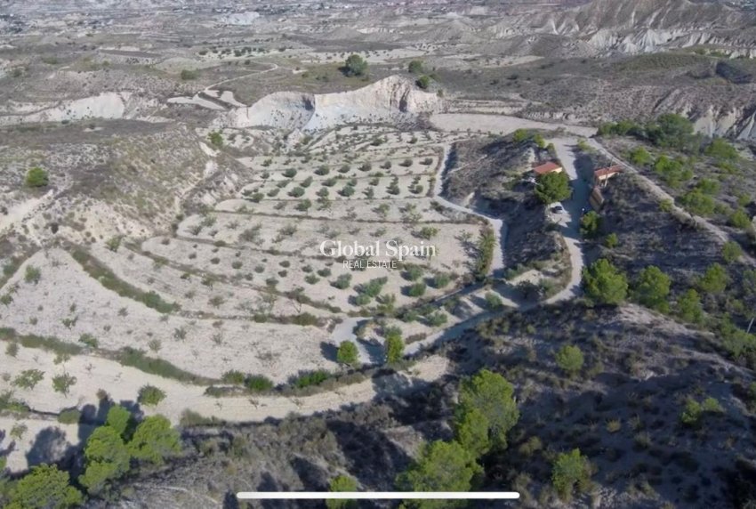 Revente - MAISON -
ABANILLA - El Partidor