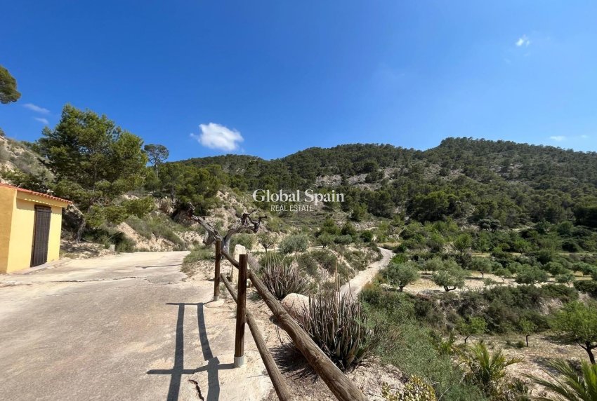 Revente - MAISON -
ABANILLA - El Partidor