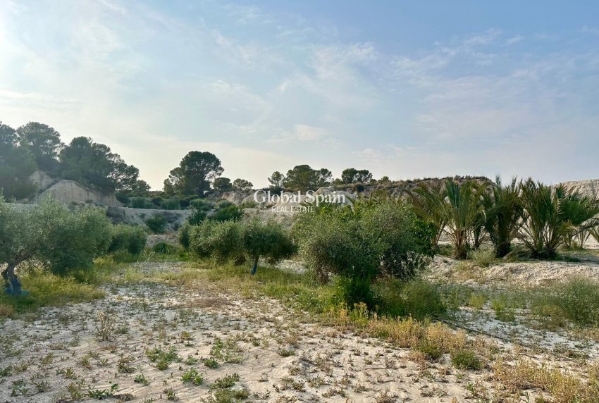 Revente - MAISON -
ABANILLA - Inland