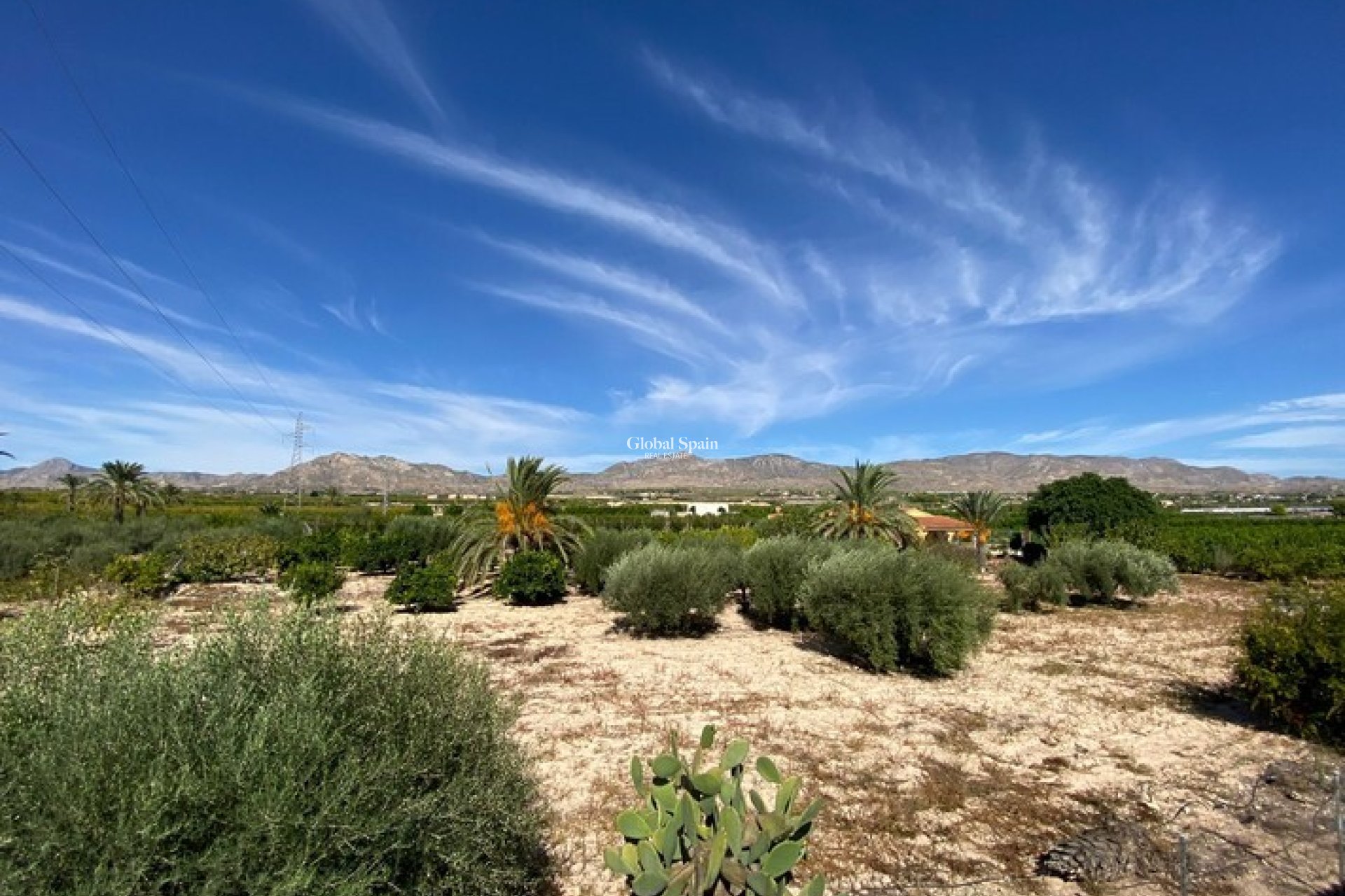 Revente - MAISON -
ALBATERA - Inland