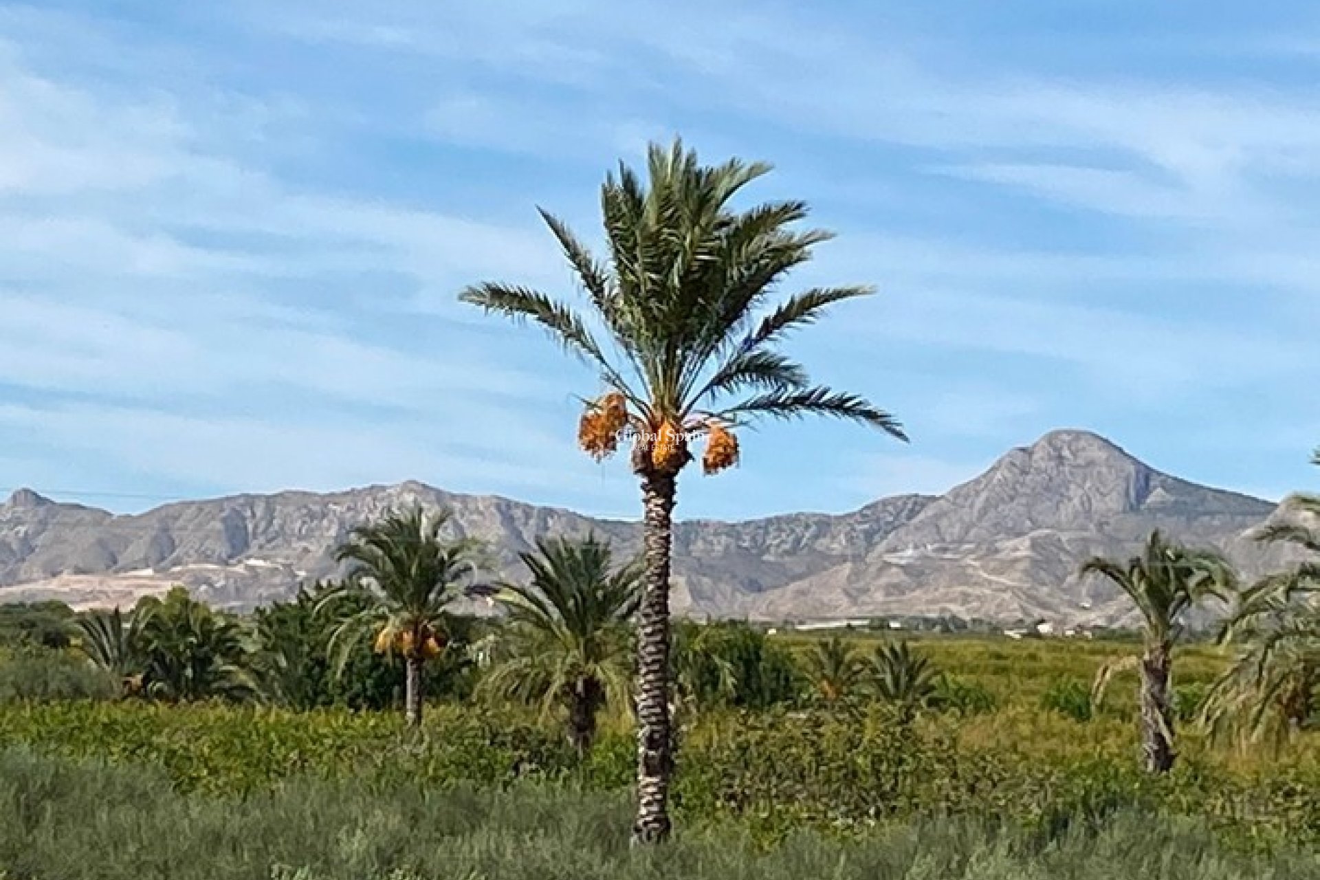 Revente - MAISON -
ALBATERA - Inland