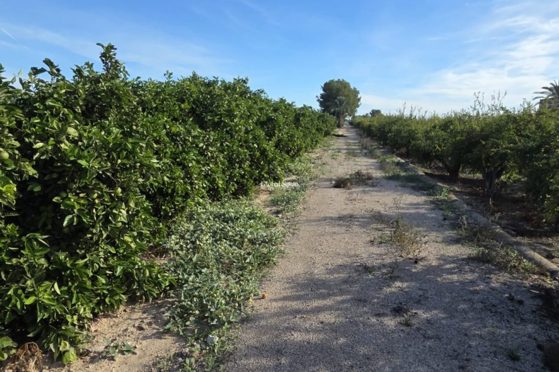 Revente - MAISON -
ALBATERA - Inland