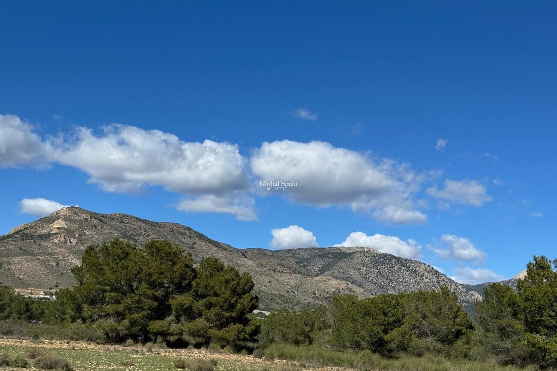 Revente - MAISON -
ALEDO - Other