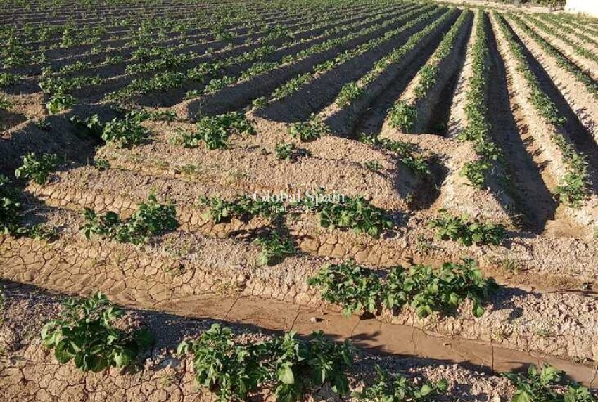 Revente - MAISON -
ARNEVA - LOS DESAMPARADOS
