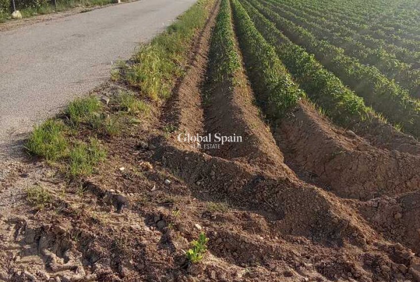 Revente - MAISON -
ARNEVA - LOS DESAMPARADOS