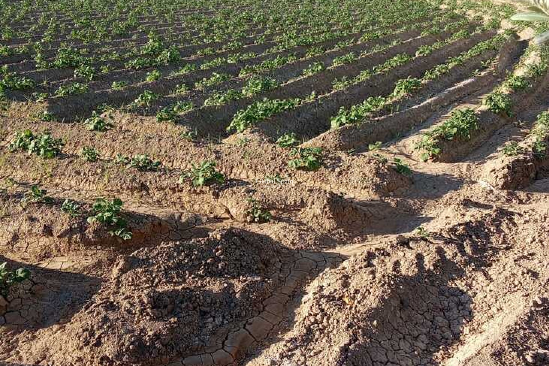 Revente - MAISON -
ARNEVA - LOS DESAMPARADOS