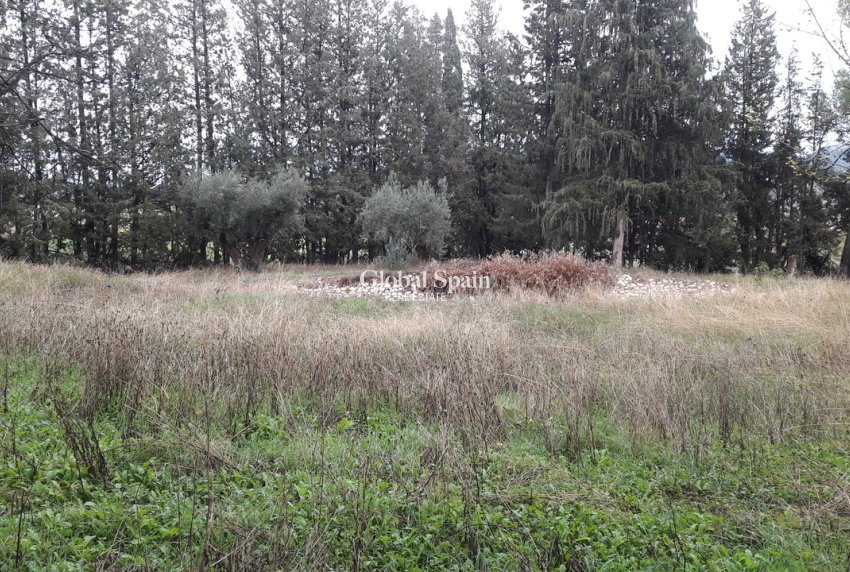 Revente - MAISON -
CARAVACA DE LA CRUZ - Inland