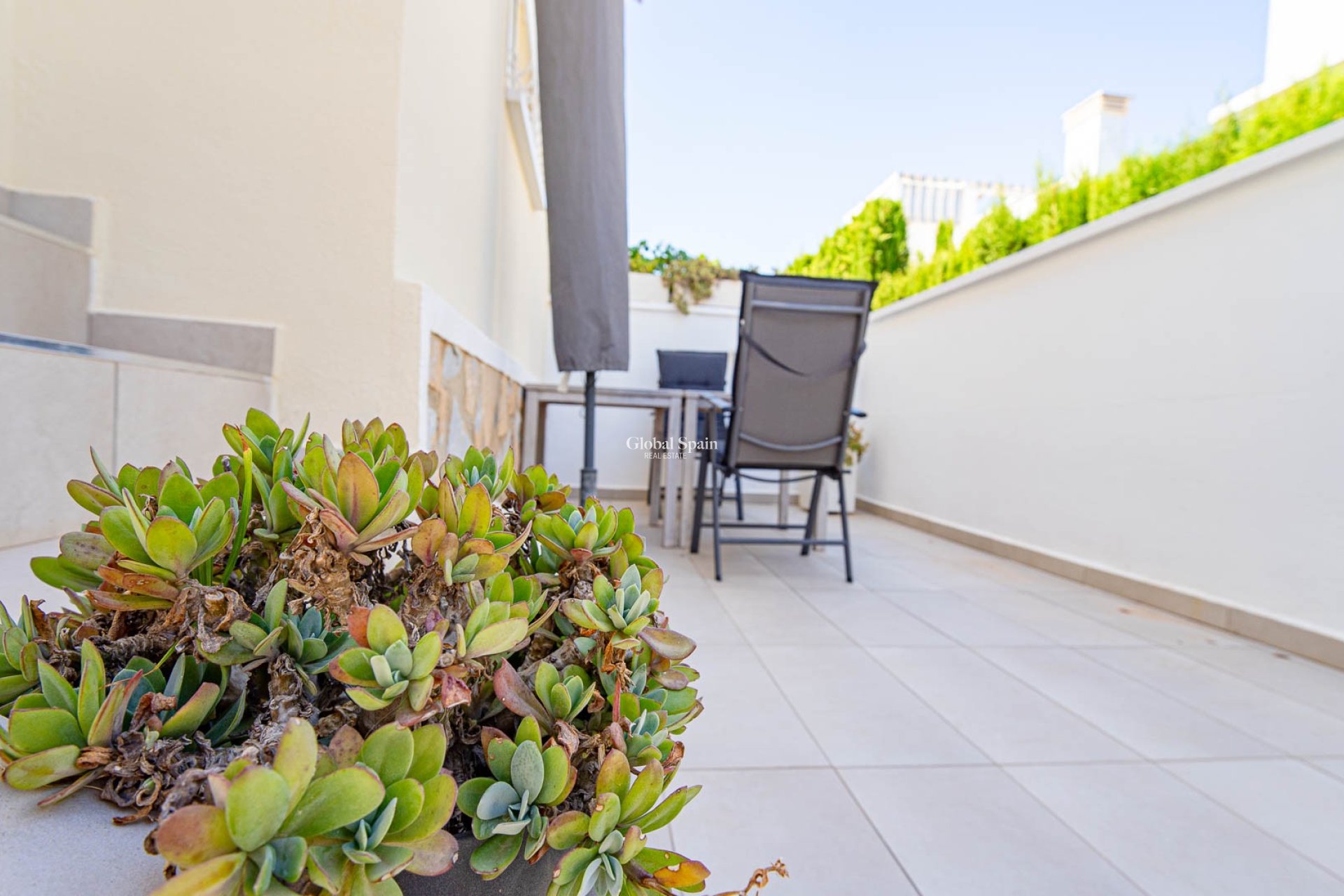 Revente - MAISON -
CIUDAD QUESADA - Doña Pepa