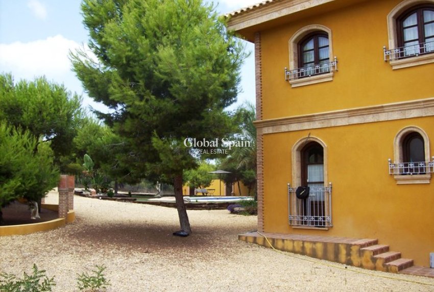 Revente - MAISON -
Ciudad Quesada - Lo Pepin
