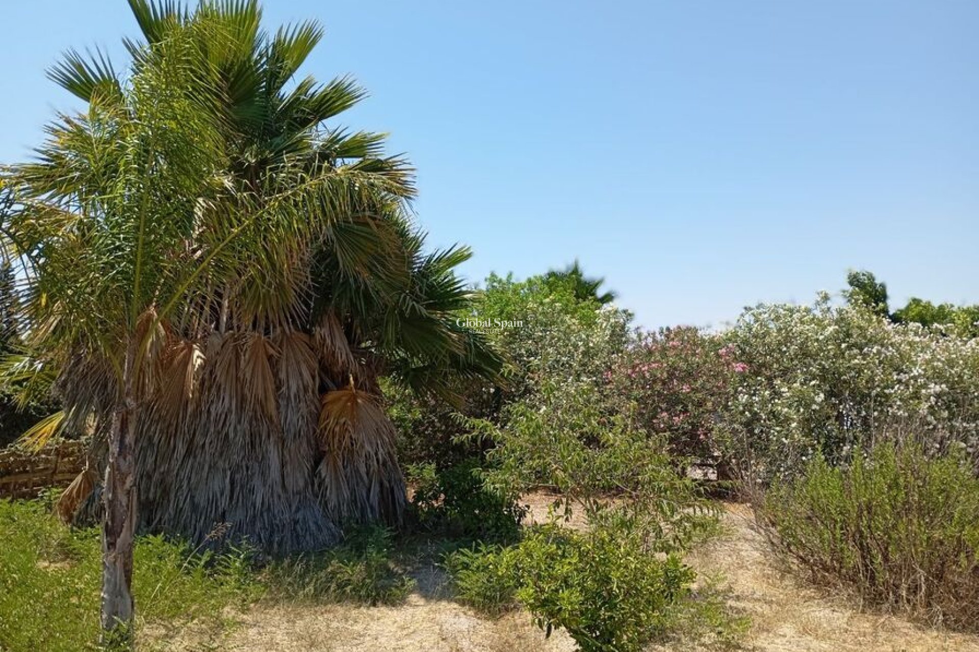 Revente - MAISON -
DAYA NUEVA - Costa Blanca