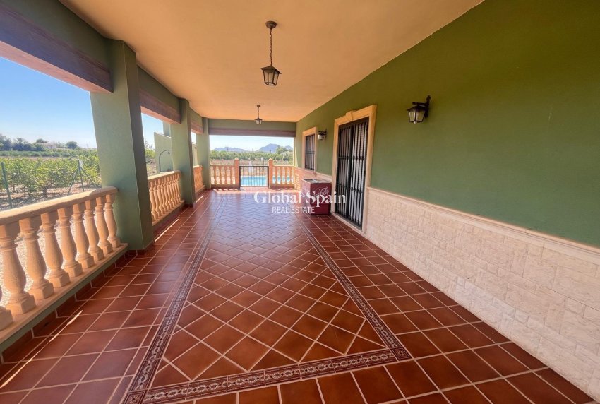 Revente - MAISON -
DAYA NUEVA - La Bodega