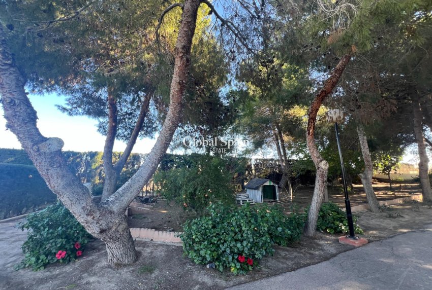 Revente - MAISON -
DOLORES - Comunidad Valenciana