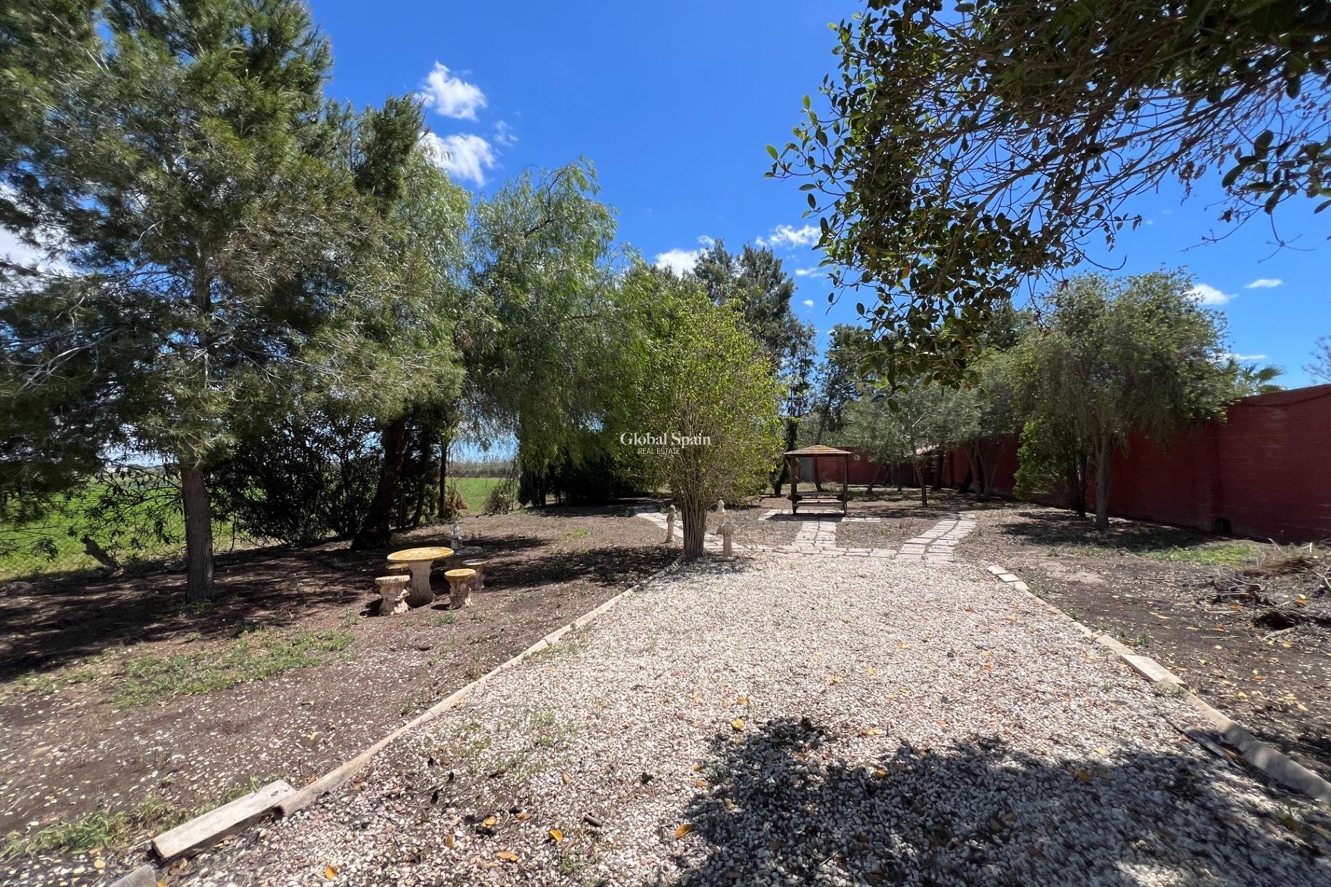 Revente - MAISON -
DOLORES - Comunidad Valenciana