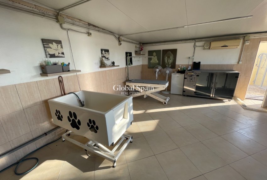 Revente - MAISON -
ELCHE - Costa Blanca